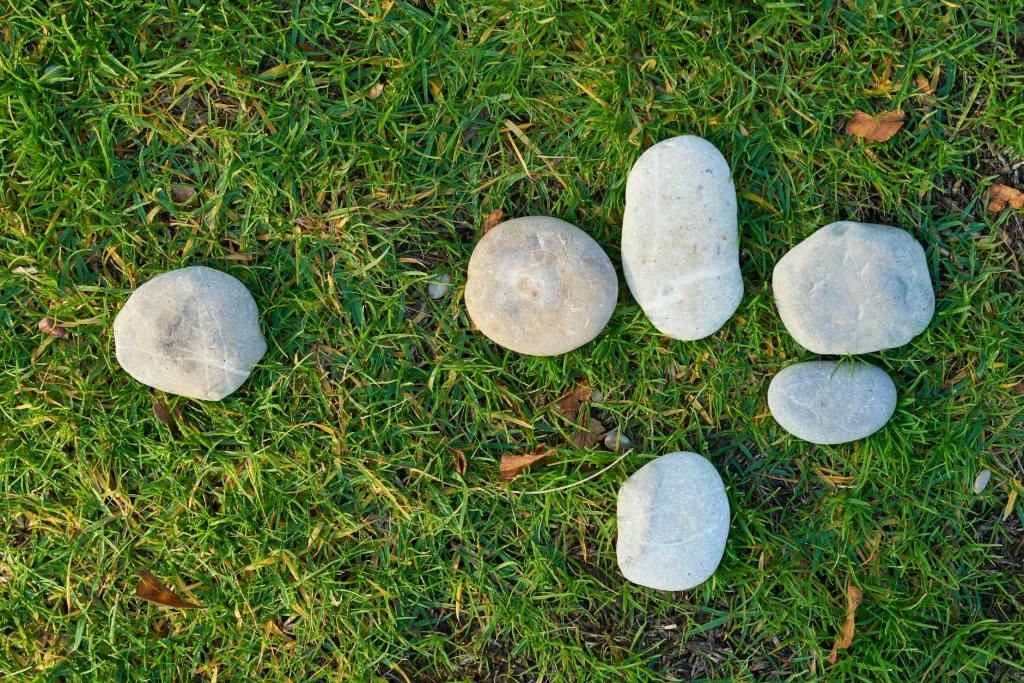 10 Transformative Quotes from ‘A New Earth’ by Eckhart&nbsp;Tolle